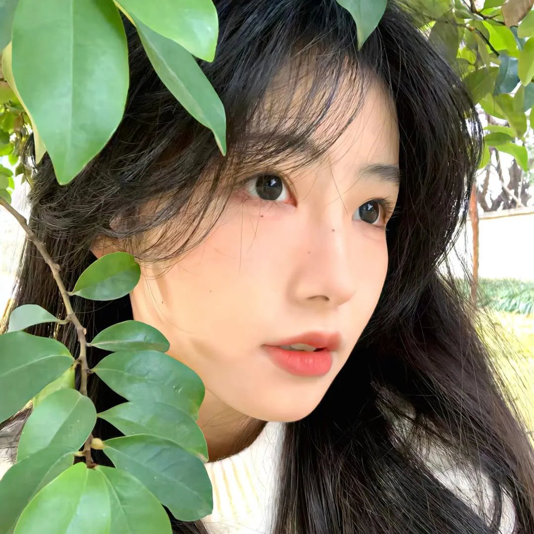 青春王室 第二季